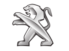 Cablaje dedicate amplificatoare Peugeot